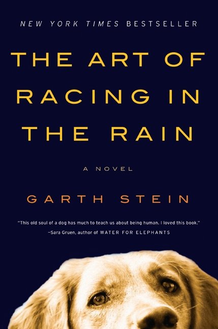 Book Review: The Art of Racing in the Rain by Garth Stein